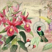 Title: Tropical Hummingbird Botanical II 
Artist: Studio Voltaire 
Medium: Digital 
Image Number: BT 0327 SV  
Size: 16 x 20