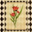 Title: Botanical Tulip IArtist: Studio Voltaire Medium: DigitalImage Number: BT 0027 SVSize: 16 x 20