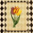 Title: Botanical Tulip IIArtist: Studio Voltaire Medium: DigitalImage Number: BT 0028 SVSize: 16 x 20