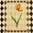 Title: Botanical Tulip IIIArtist: Studio Voltaire Medium: DigitalImage Number: BT 0029 SVSize: 16 x 20