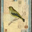 Title: Song Birds II Artist: Studio Voltaire Medium: DigitalImage Number: GR 0098 SV Size: 16 x 20