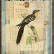 Title: Song Birds IV Artist: Studio Voltaire Medium: DigitalImage Number: GR 0100 SV Size: 16 x 20