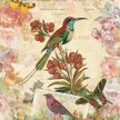 
	Title: Bird Bower I
	Artist: Studio Voltaire
	Medium: Digital
	Image Number: GR 0941 SV
	Size: 18 x 24
