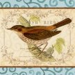 brit_birds_nightingale