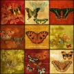
	
		Title: Butterfly Fresco Patchwork
		Artist: Studio Voltaire 
		Medium: Digital  
	
		Image Number: GR 0823 SV
		Size: 24 x 24

