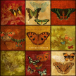 butterfly_fresco01A