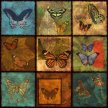 butterfly_patchwork01