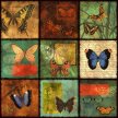 butterfly_patchwork02