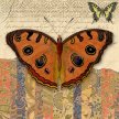 butterfly_scrapbook02