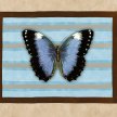 butterfly_tiffany_blue_tan_bg04_HD