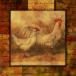 Title: Bert's Hens & Roosters II Artist: Studio Voltaire Medium: DigitalImage Number: GR 0126 SV Size: 16 x 16