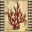 Title:Red Coral III Artist: Studio Voltaire Medium: Digital Image Number: GR 0065 SV Size: 16 x 20