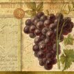 Title: Wine Grapes IArtist: Studio Voltaire Medium: DigitalImage Number: GR 0069 SVSize: 16 x 20