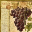 wine_grapes_square02