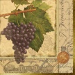 Title: Wine Grapes VI Artist: Studio Voltaire Medium: Digital  Image Number: GR 0972 SV Size: 14 x 14