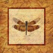Title: Woodland Dragonfly IArtist: Studio Voltaire Medium: DigitalImage Number: GR 0213 SV Size: 22 x 22