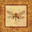 Title: Woodland Dragonfly IIArtist: Studio Voltaire Medium: DigitalImage Number: GR 0214 SV Size: 22 x 22