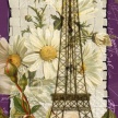 
	Title: Woven Paper Paris I
	Artist: Studio Voltaire
	Medium: Digital
	Image Number: GR 0945 SV
	Size: 12 x 36
