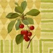 botanical_fruit_napkin