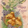 
	Title:  Easter Chicks I
	Artist:  Studio Voltaire
	Medium:  Digital
	Image Number: HL 0782 SV
	Size:   10 x 14