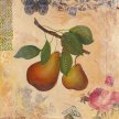 zorns_collaged_pears02