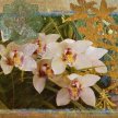 orchid_inspiration