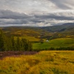 Title:  Highland AfternoonArtist: Tony Stuart Medium: Photography Image Number: PH 0643 TSSize: 16 x 24