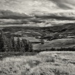 Title: Highland Afternoon BWArtist: Tony Stuart Medium: Photography Image Number: PH 0622 TSSize: 16 x 24