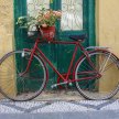 rhodes_bicycle01