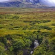 Title: Isle of Skye FogArtist: Tony Stuart Medium: Photography Image Number: PH 0646 TSSize: 16 x 24