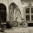vienna_bicycle