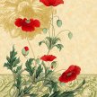 christmas_poppies_med