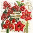 Title: Christmas Botanical – MixedArtist: Studio Voltaire Medium: DigitalImage Number: HL 0719 SVSize: 20 x 20
