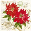 Title: Christmas Botanical – PoinsettiaArtist: Studio Voltaire Medium: DigitalImage Number: HL 0720 SVSize: 20 x 20